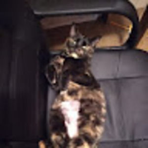 Meet your Posher, Beckett